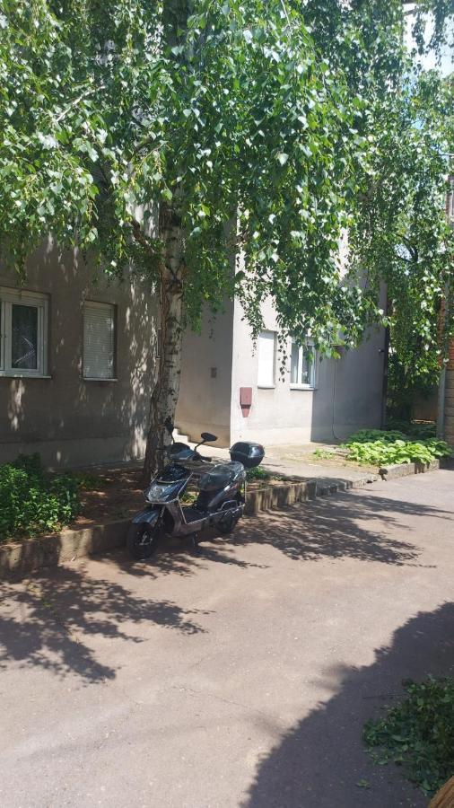 Apartman Milica Вършац Екстериор снимка