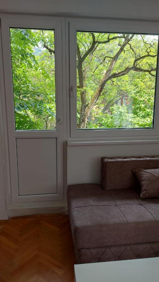Apartman Milica Вършац Екстериор снимка